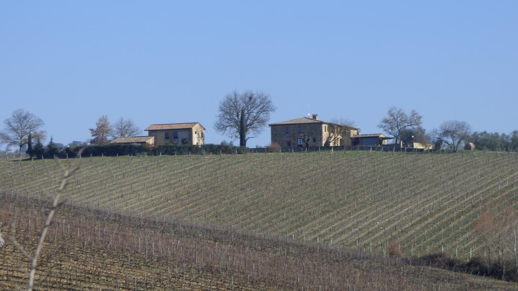Casalgallo